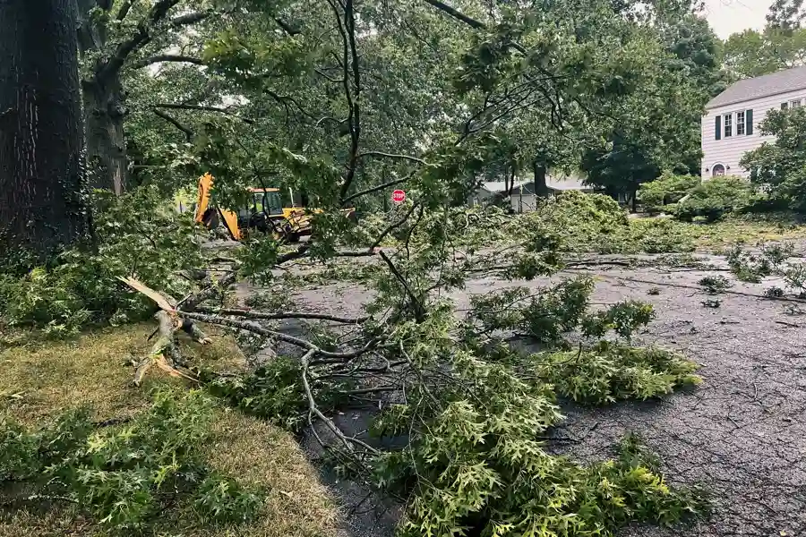 Storm Damage Emergency